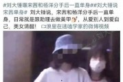 刘大锤最新爆料宋茜视频,精彩瞬间引网友热议