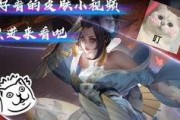 庄哥皮肤爆料视频,揭秘全新角色造型与技能亮点