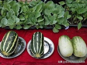 娱乐吃瓜君山河令