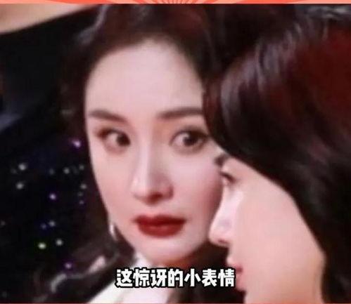 娱乐圈理性吃瓜,揭秘明星幕后真相